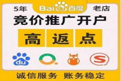 网络推广与竞价策略实战案例